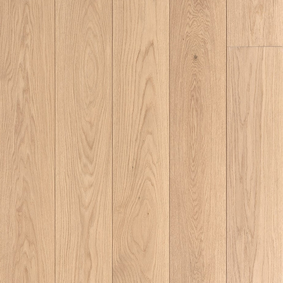 White Oak / R. Plank