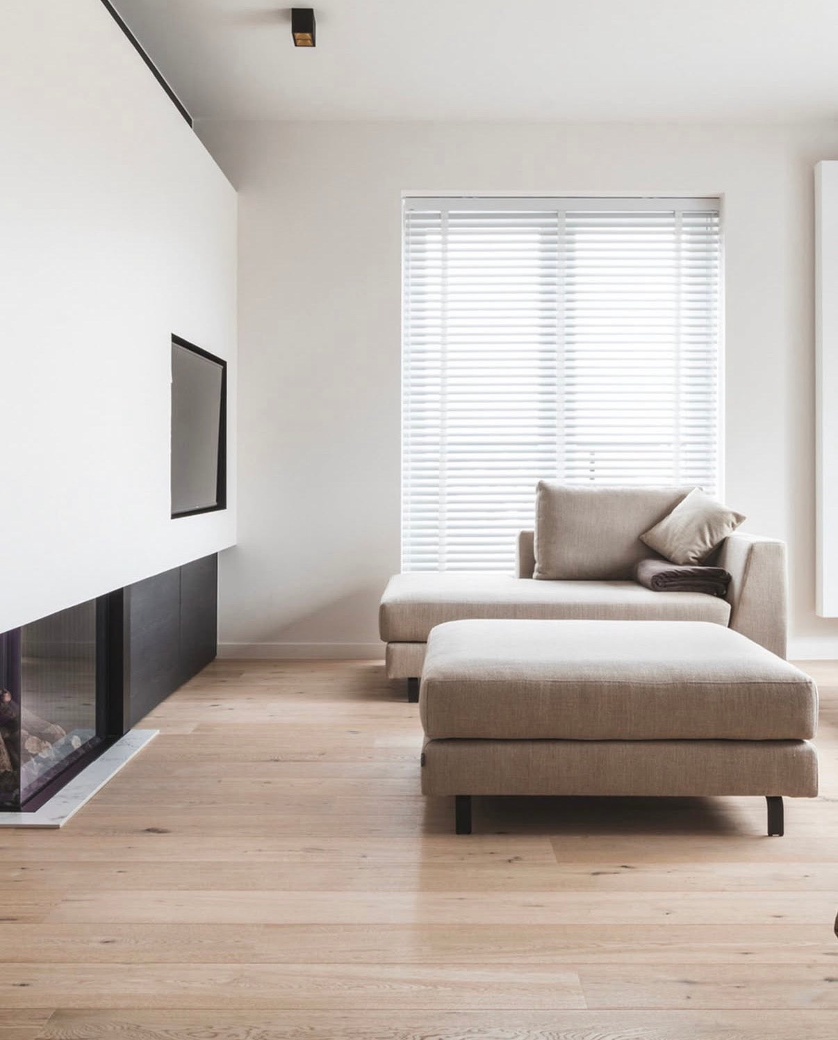 White Oak / R. Plank