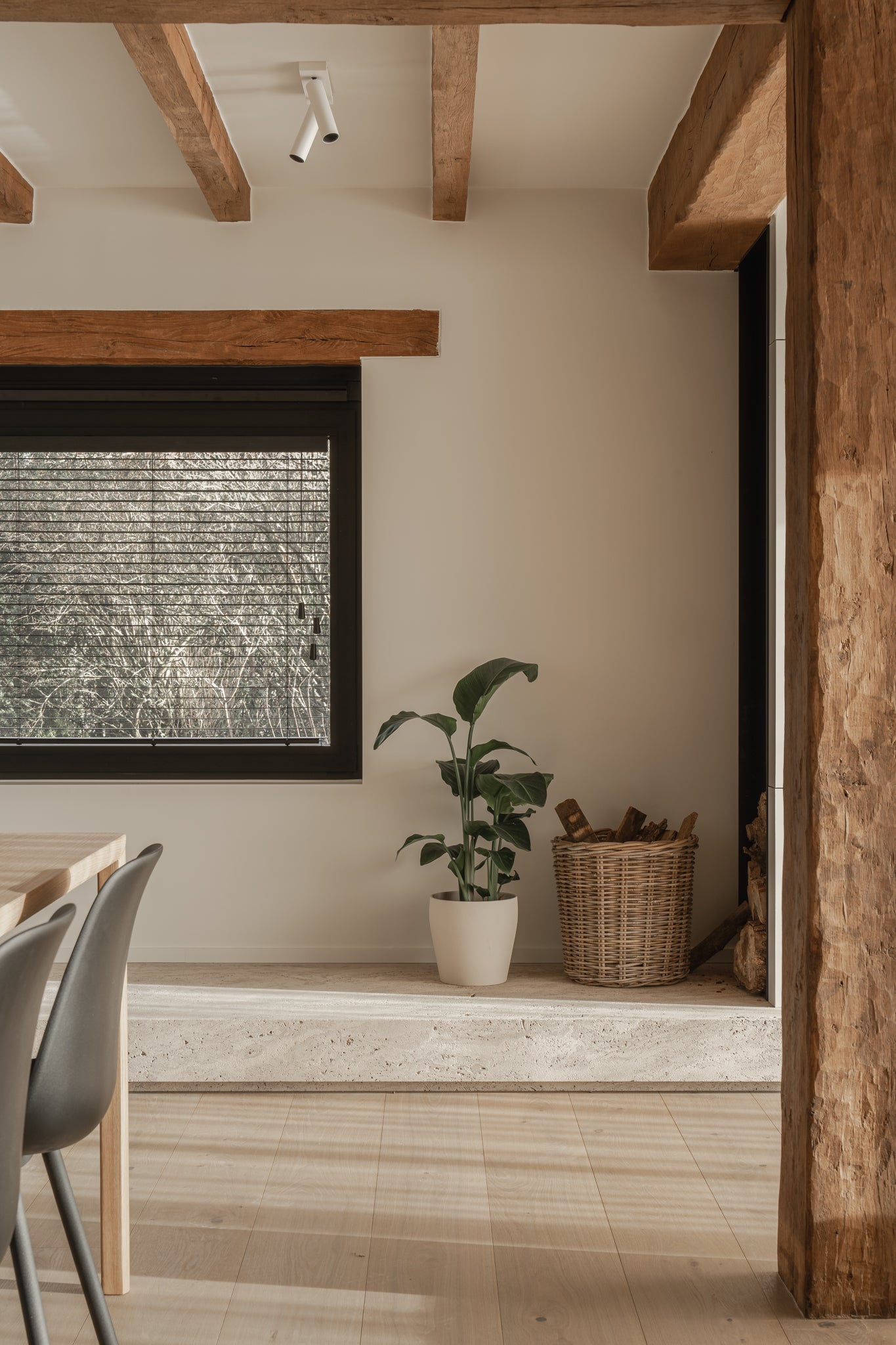 White Oak / R. Plank