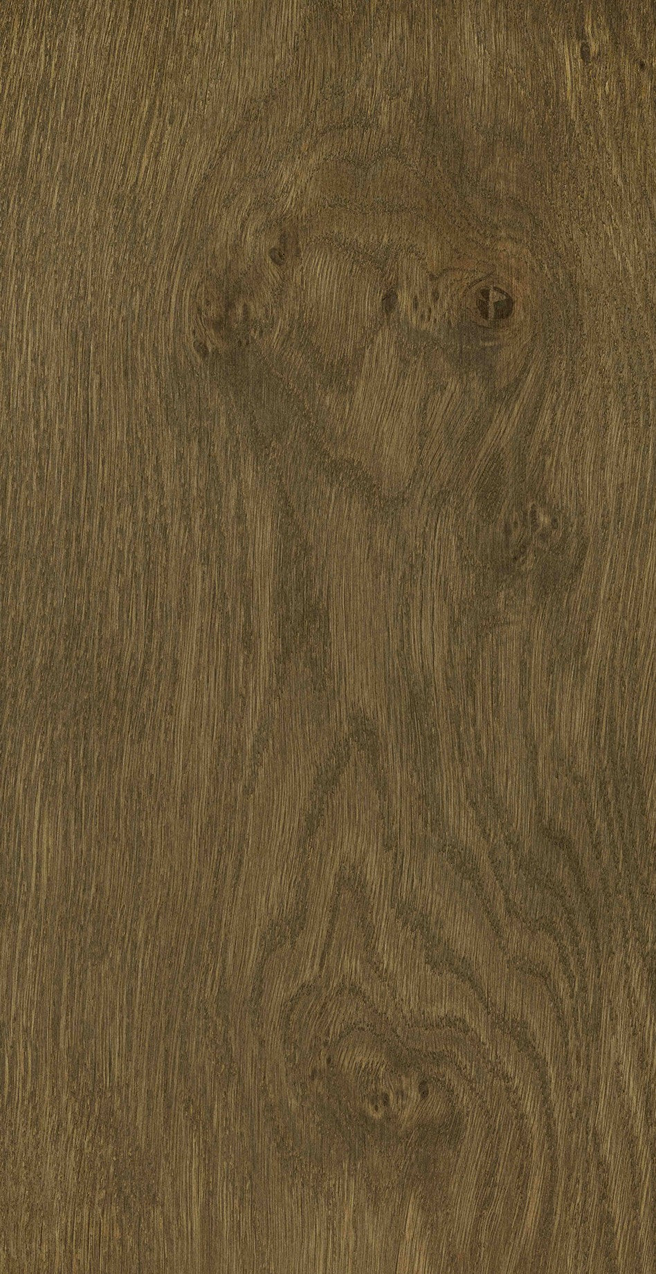 White Oak / R. Plank