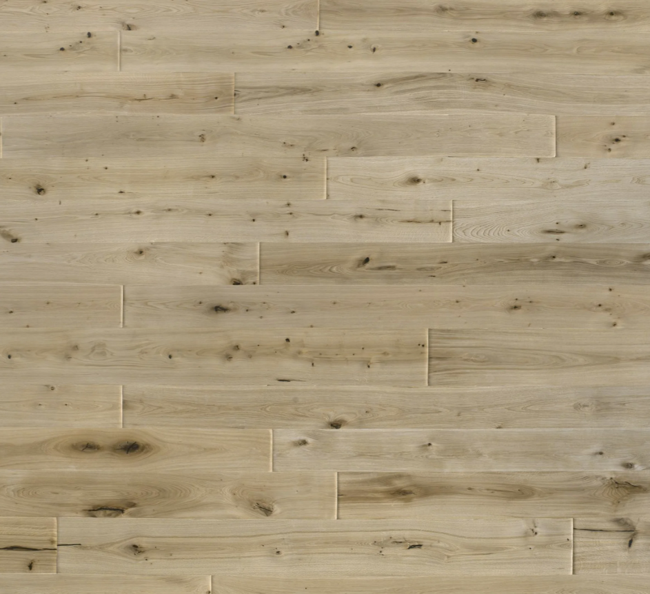 Antique / R. Plank