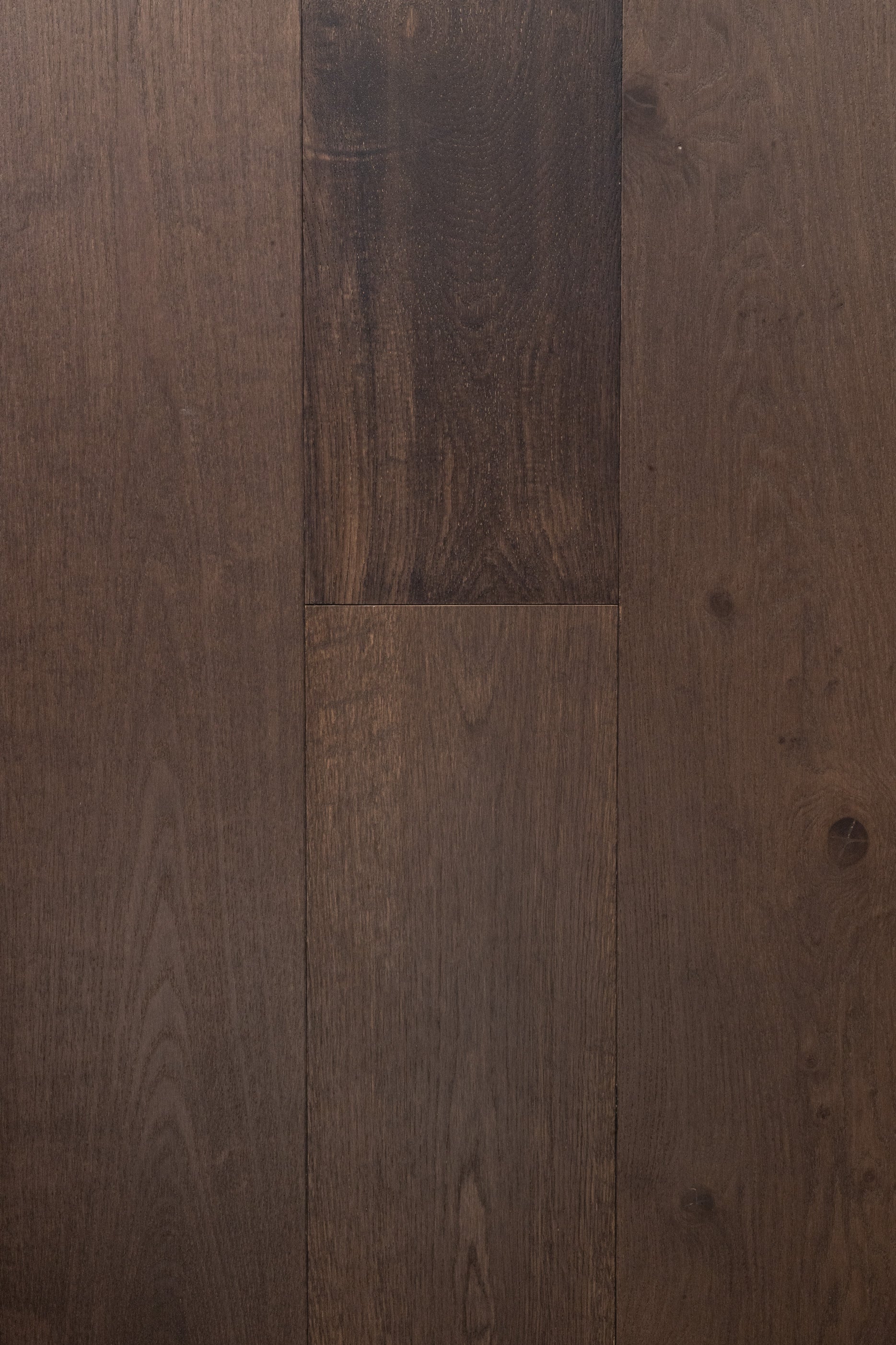 White Oak / R. Plank