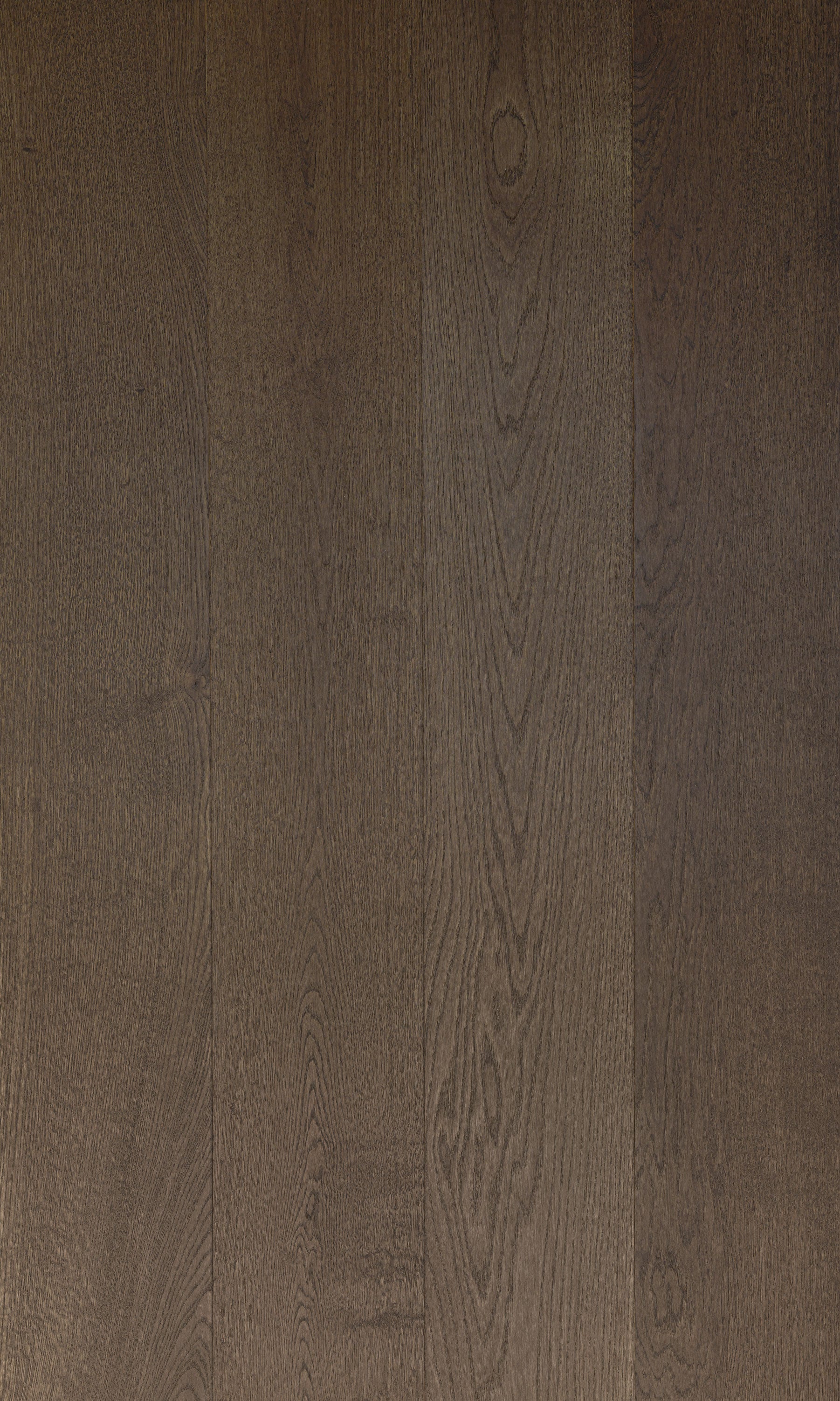 White European Oak