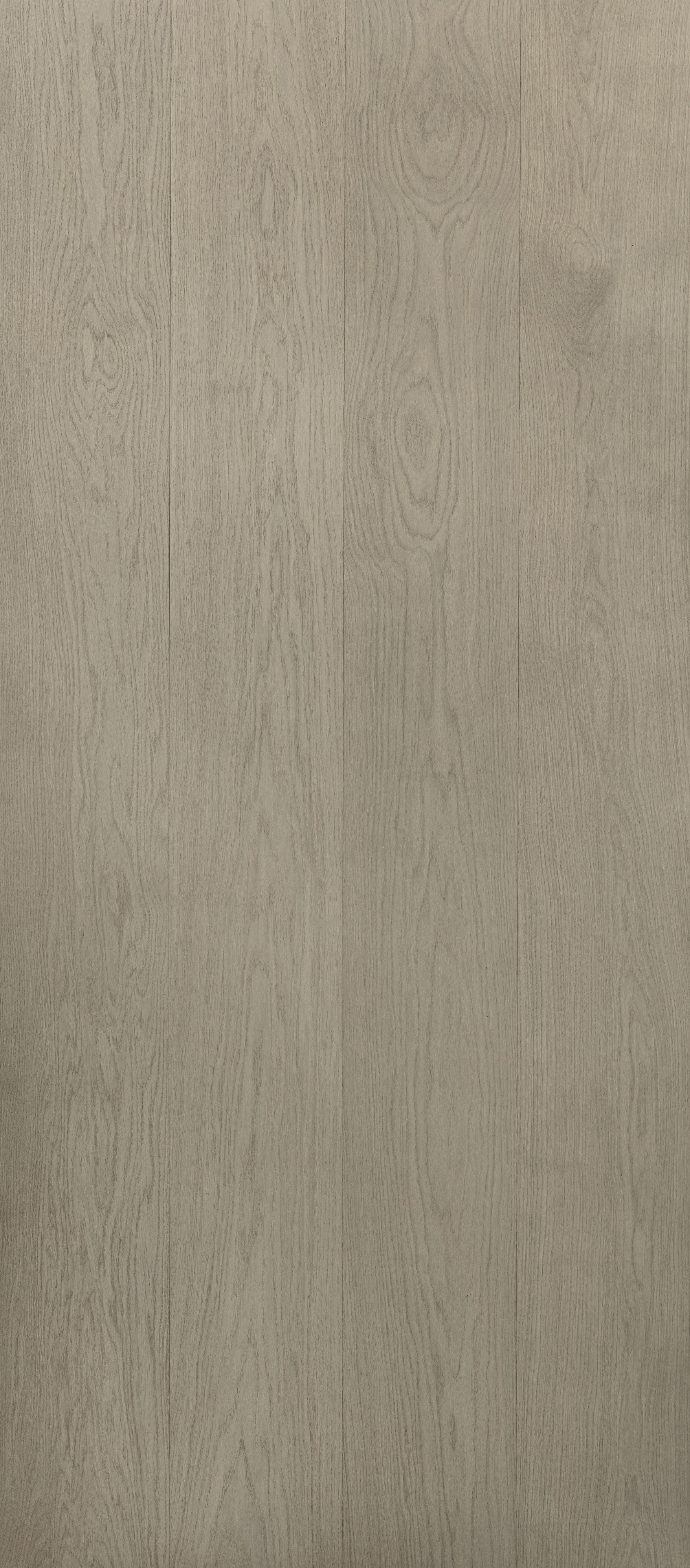 White European Oak