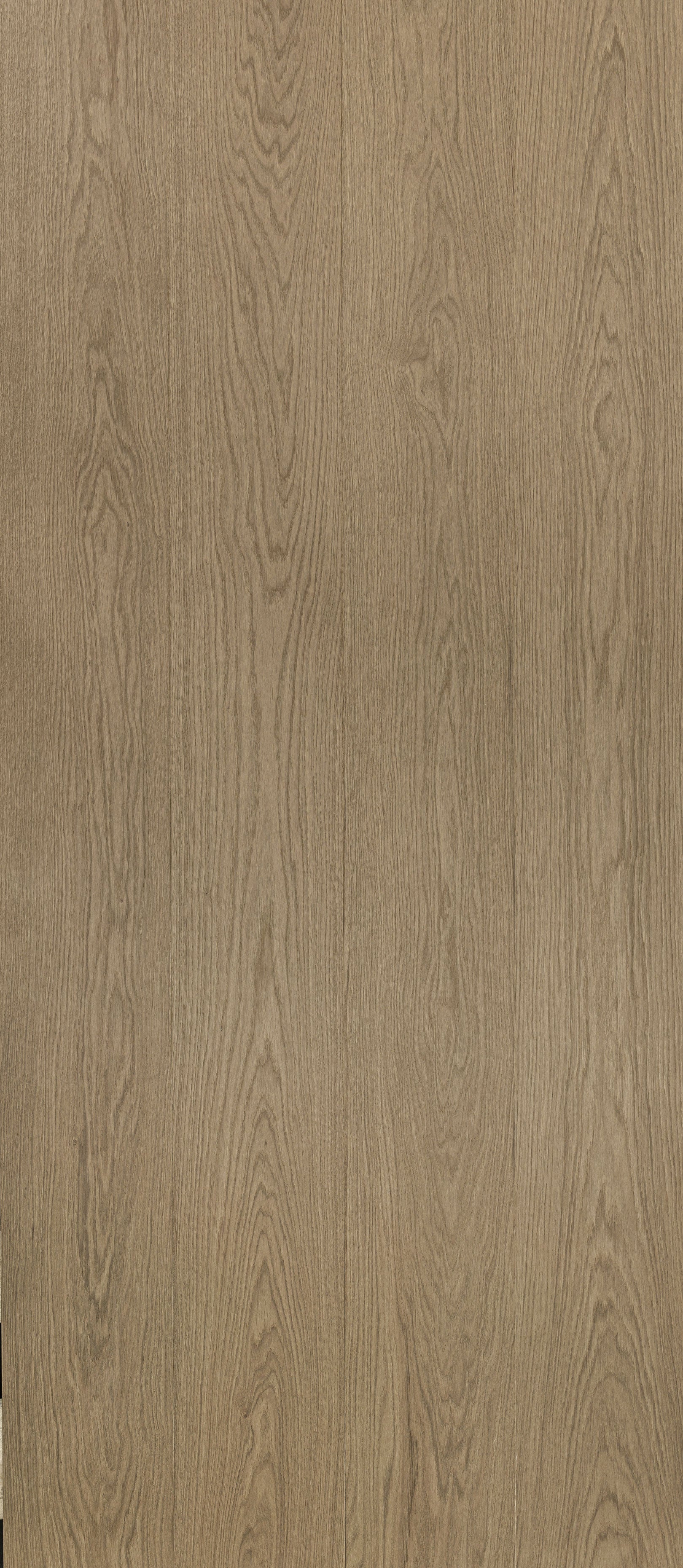 White European Oak