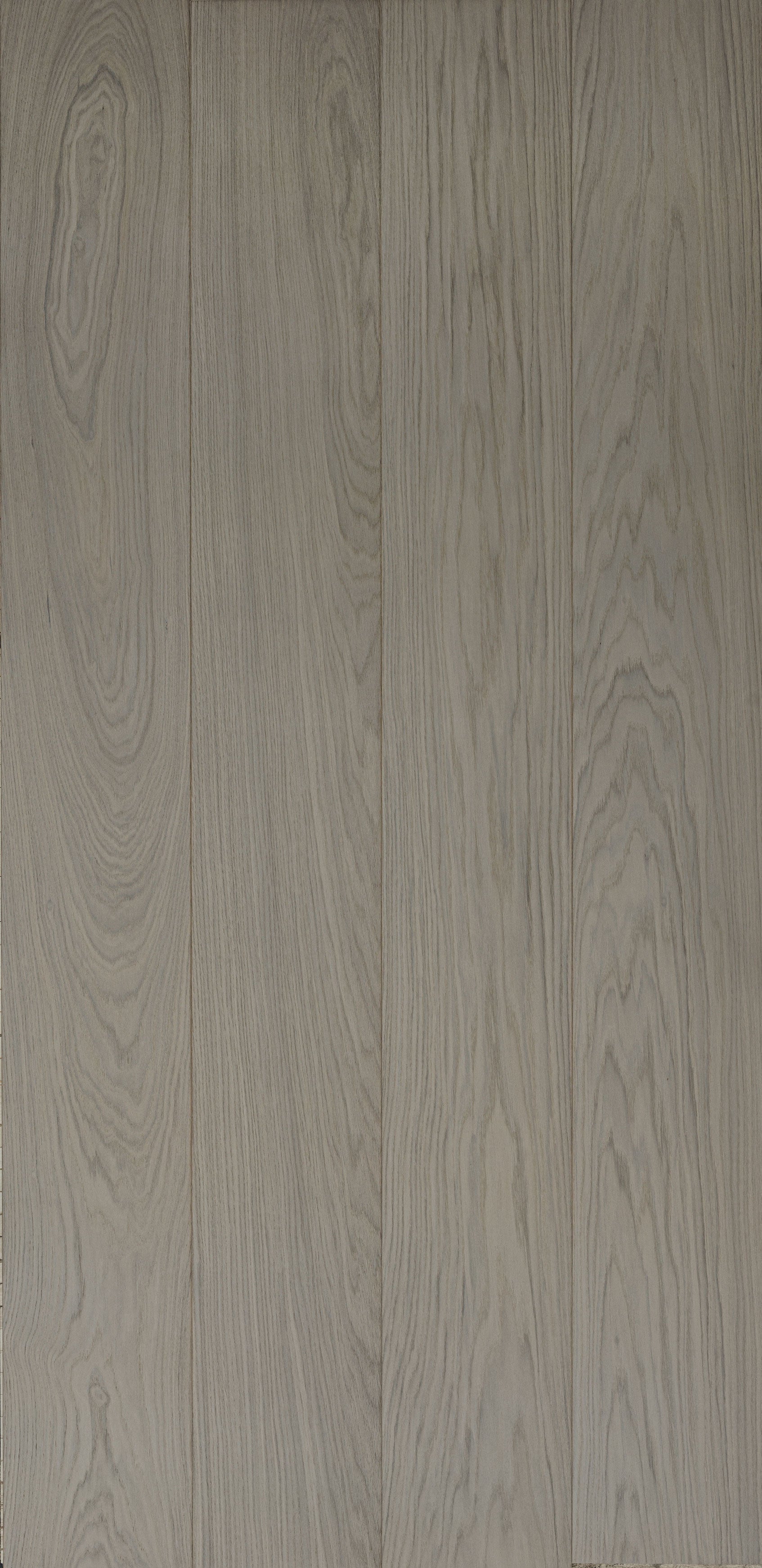 White European Oak