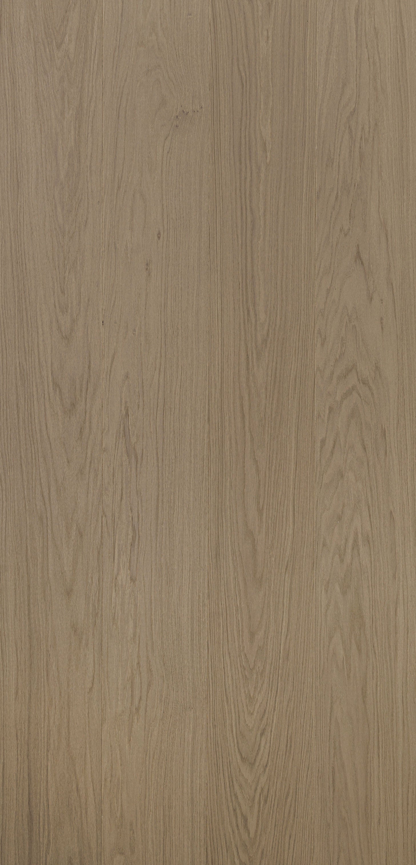 White European Oak